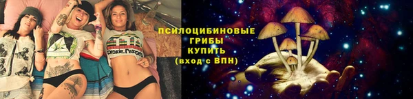 СК Заволжск