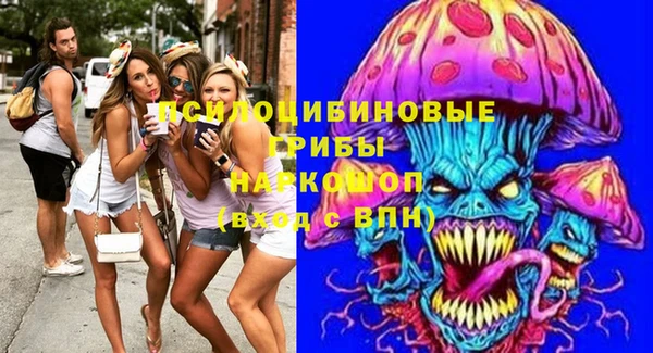 ешки Заводоуковск