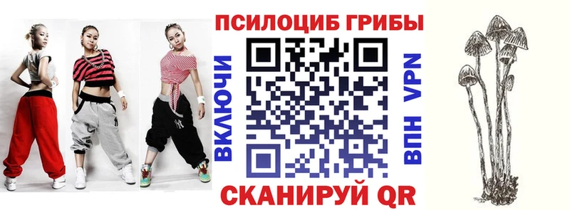 Псилоцибиновые грибы GOLDEN TEACHER  Купить  Малмыж 